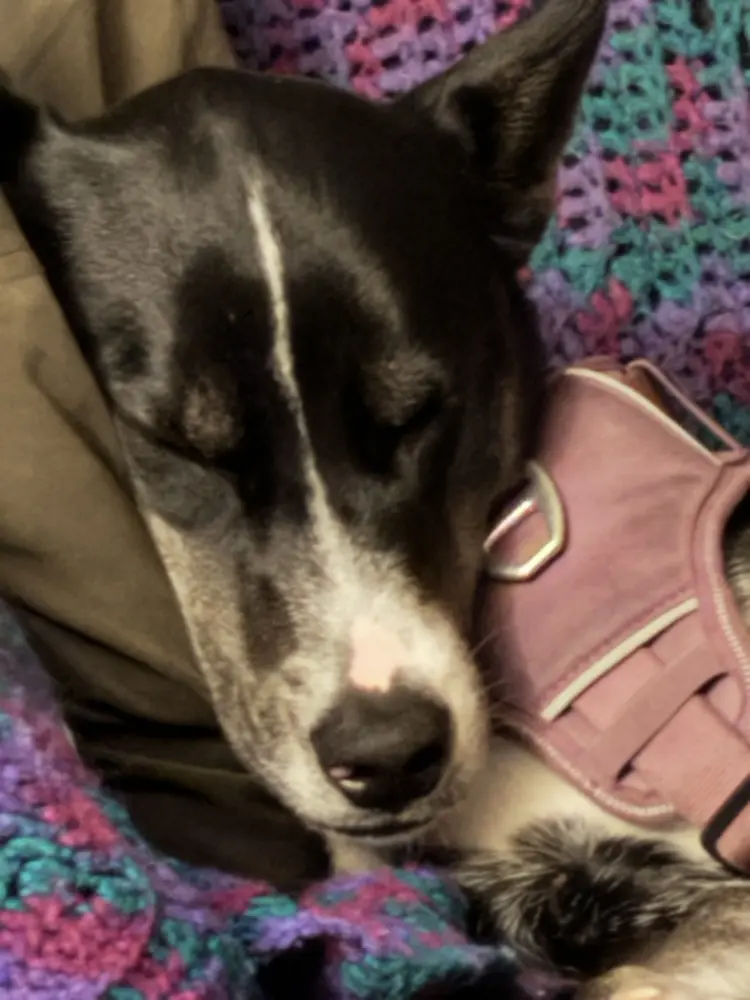 WiLoveBooks profile pic