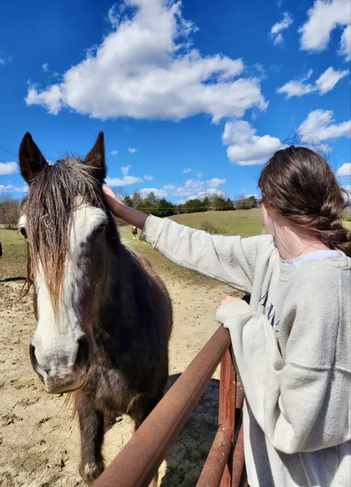 Livi the Sleepy Reader profile pic