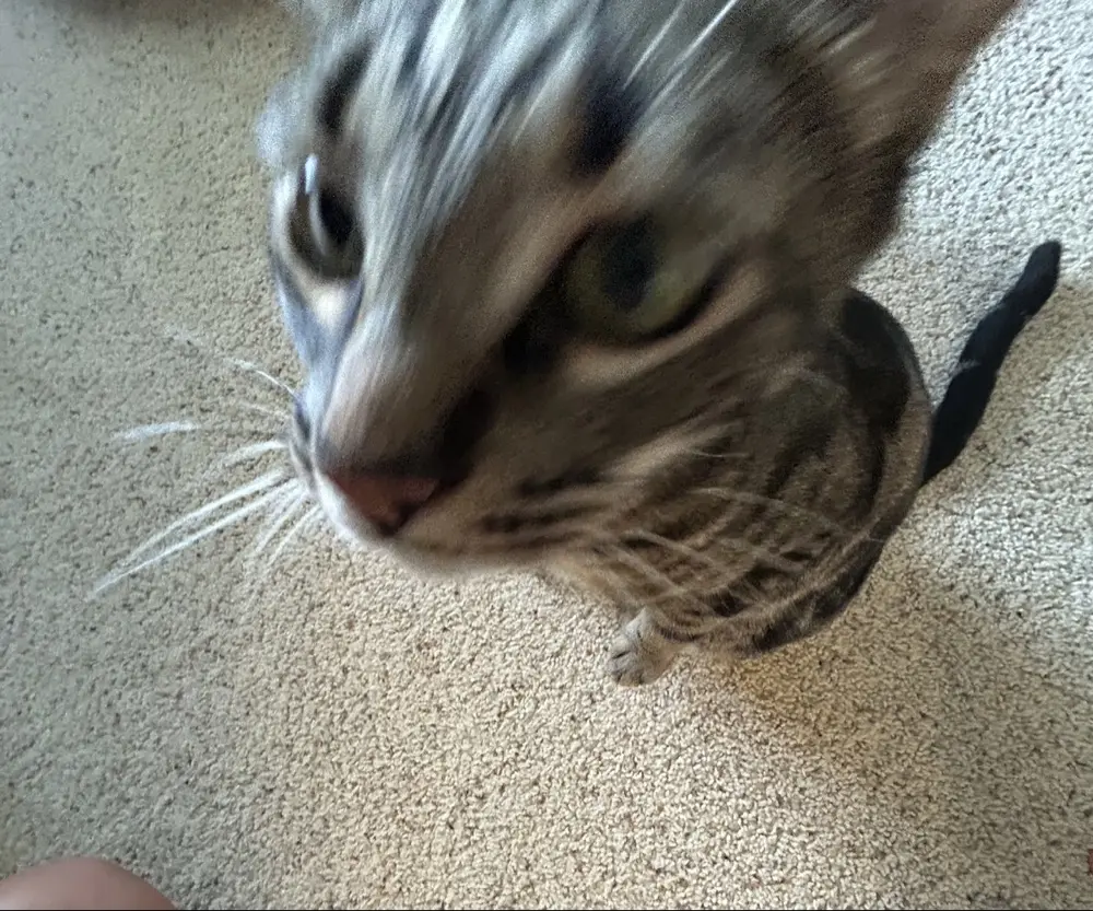 Annab123 profile pic