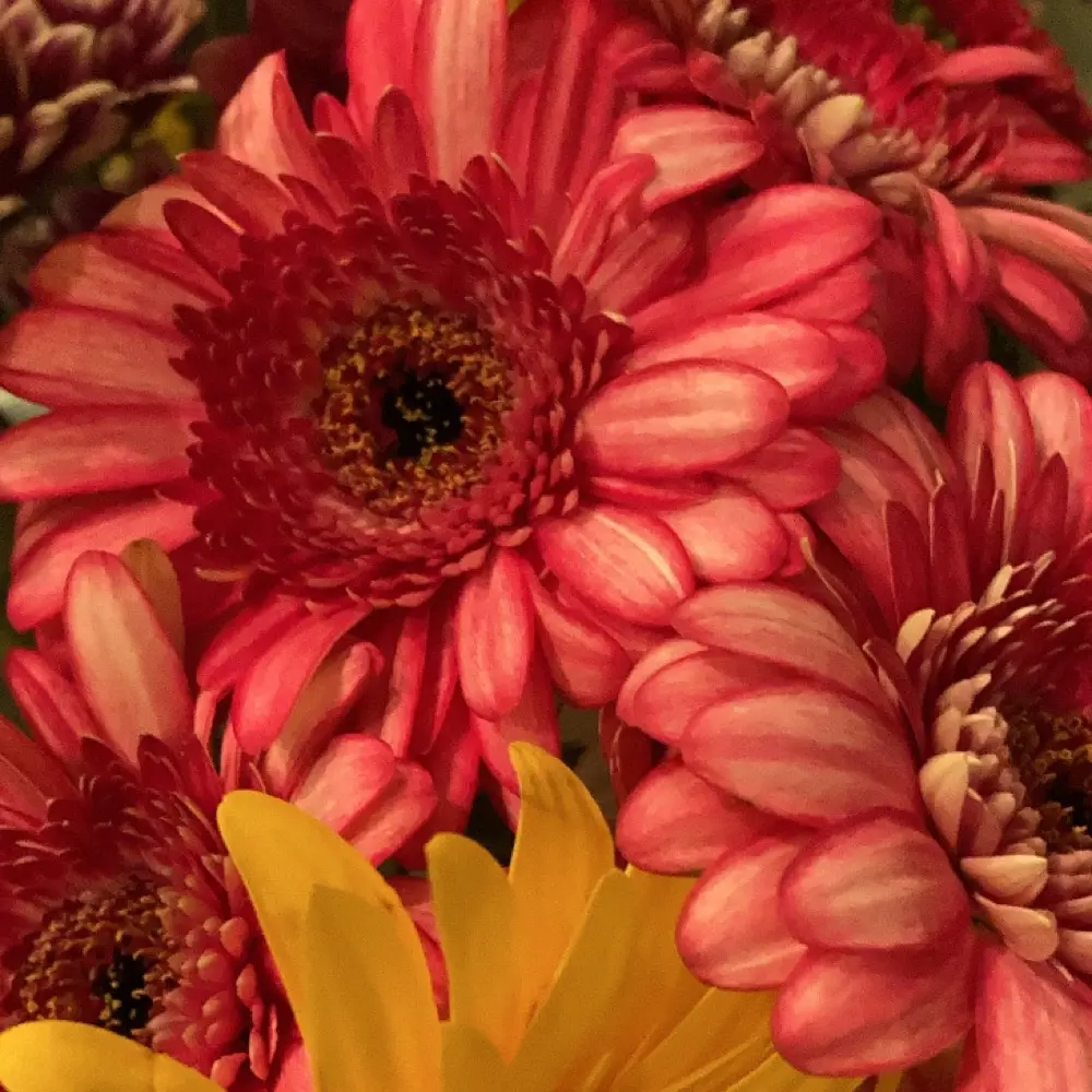 Kay 🌸🌷🌺 avatar