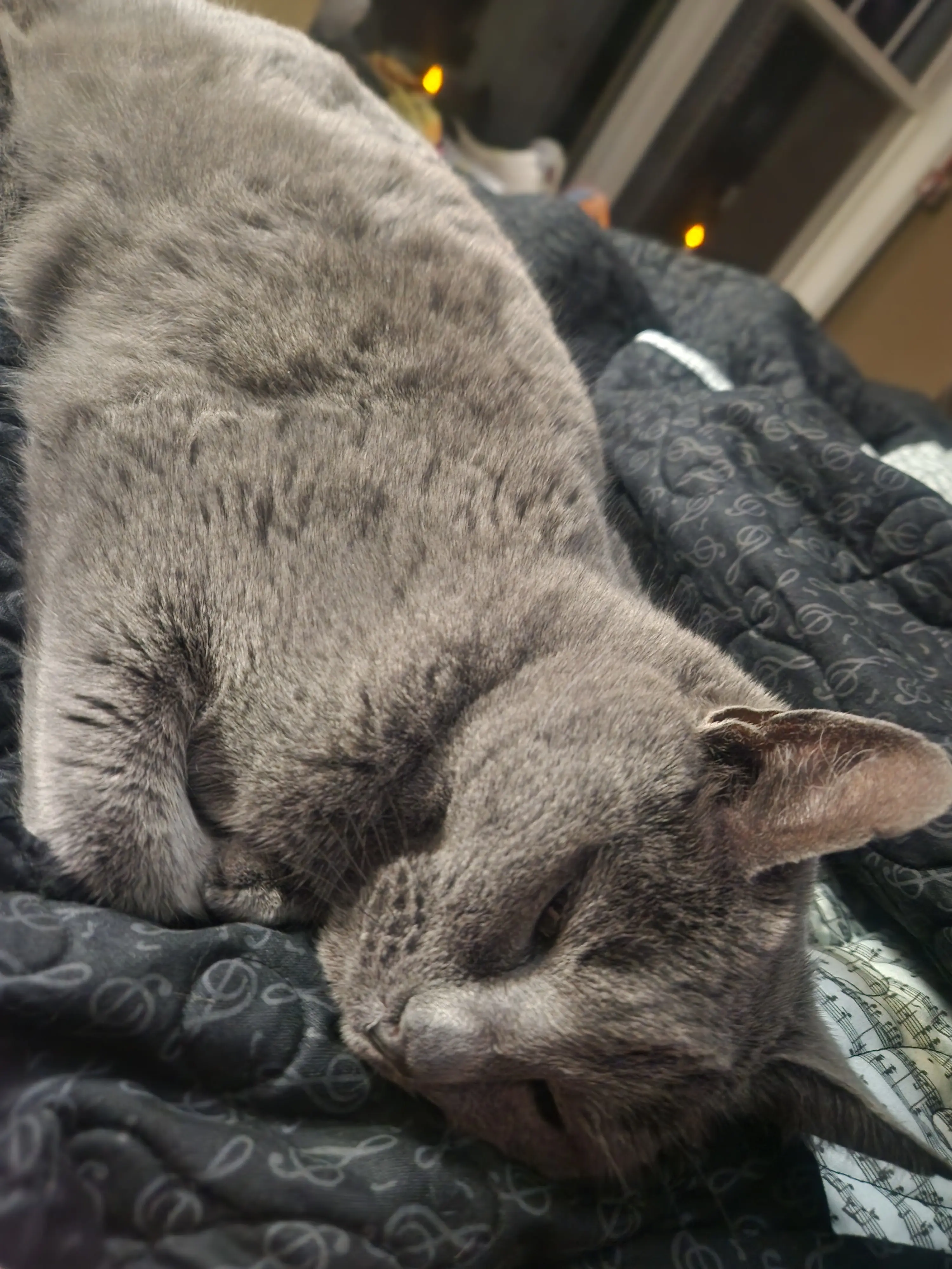 Keigan B profile pic