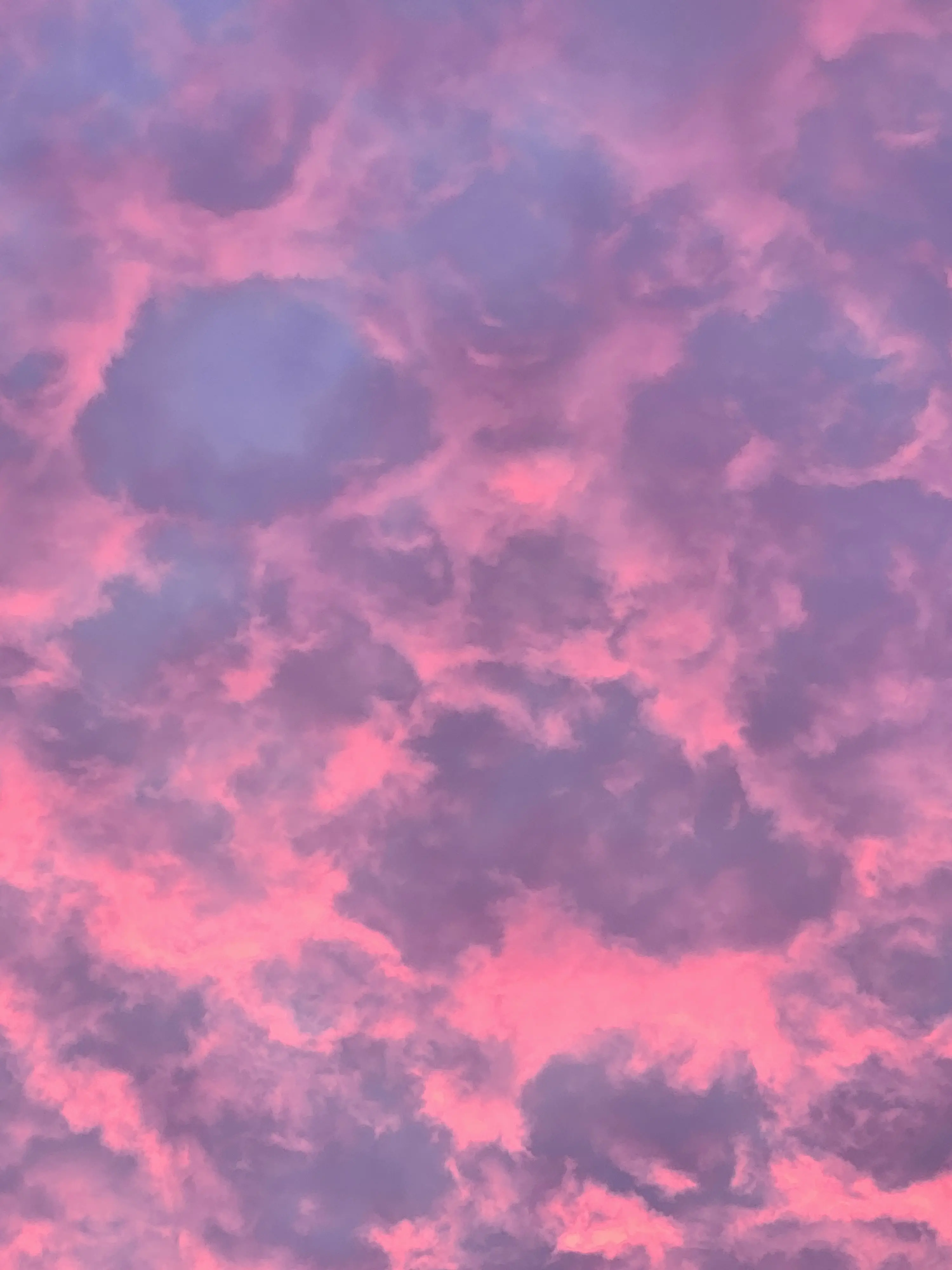 FaydrielReads profile pic