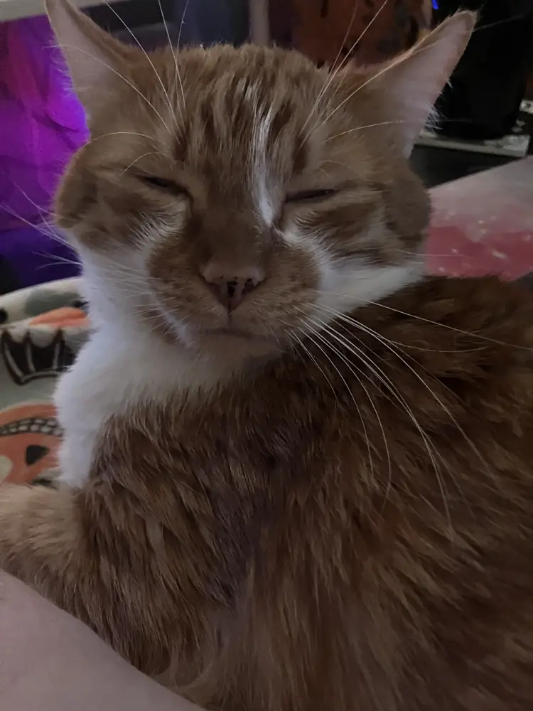 CreepyManders profile pic