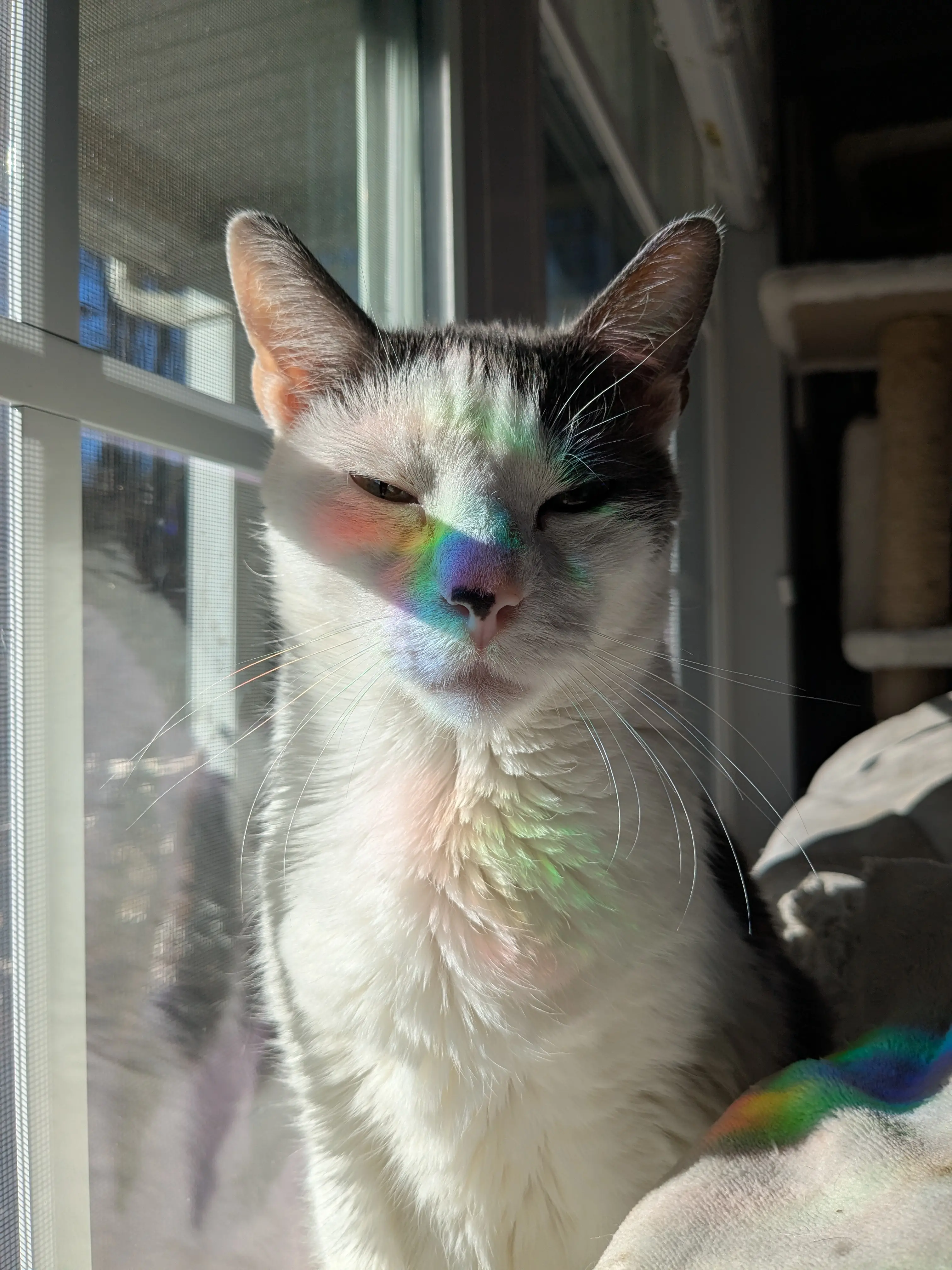 Libby Moore profile pic