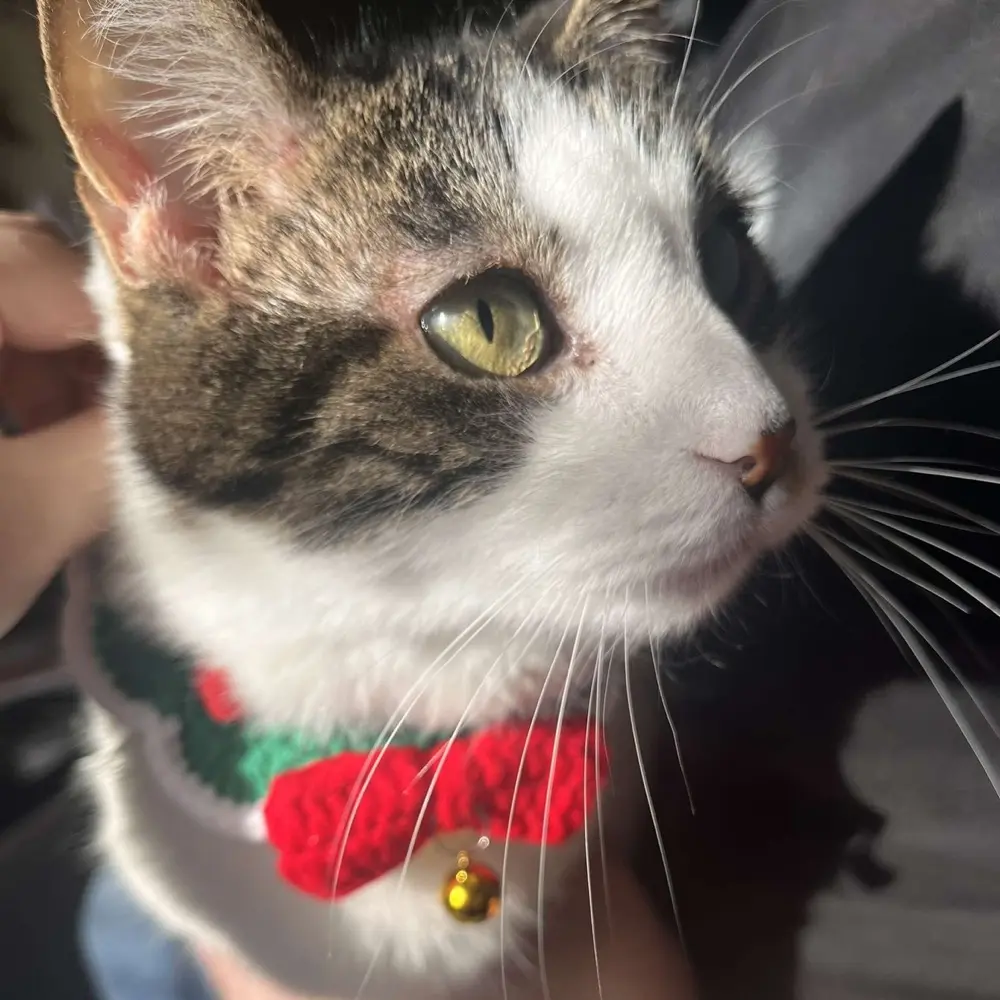 Natalie 🩵 profile pic