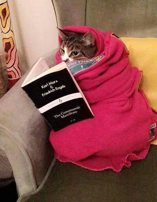 Freyja Francis profile pic