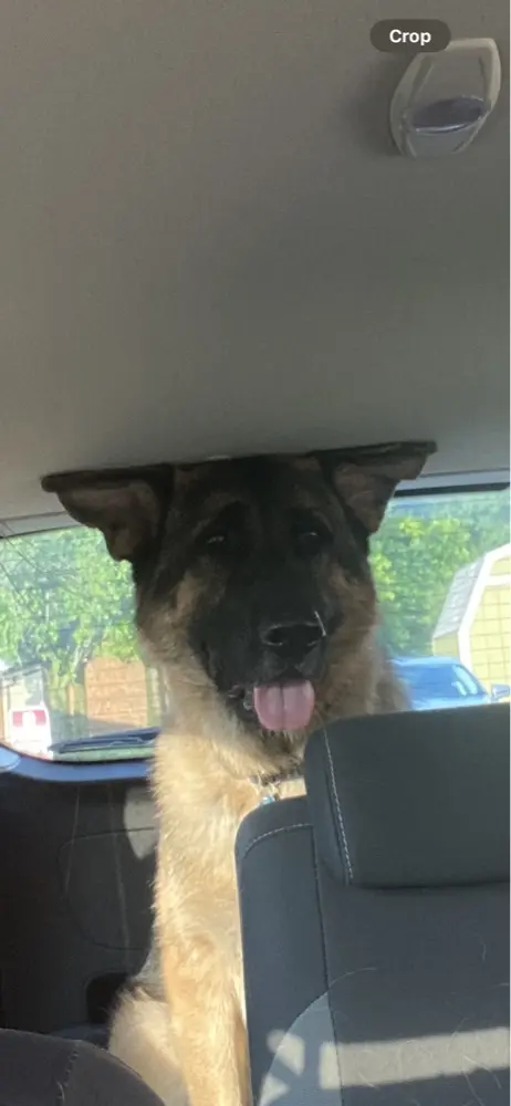 Bethany Bannon profile pic