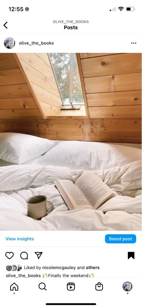 olive_the_books profile pic