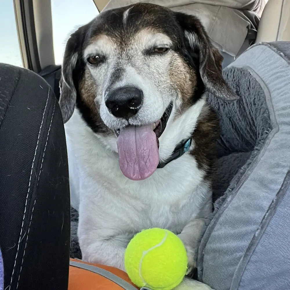 Becca Ideker profile pic