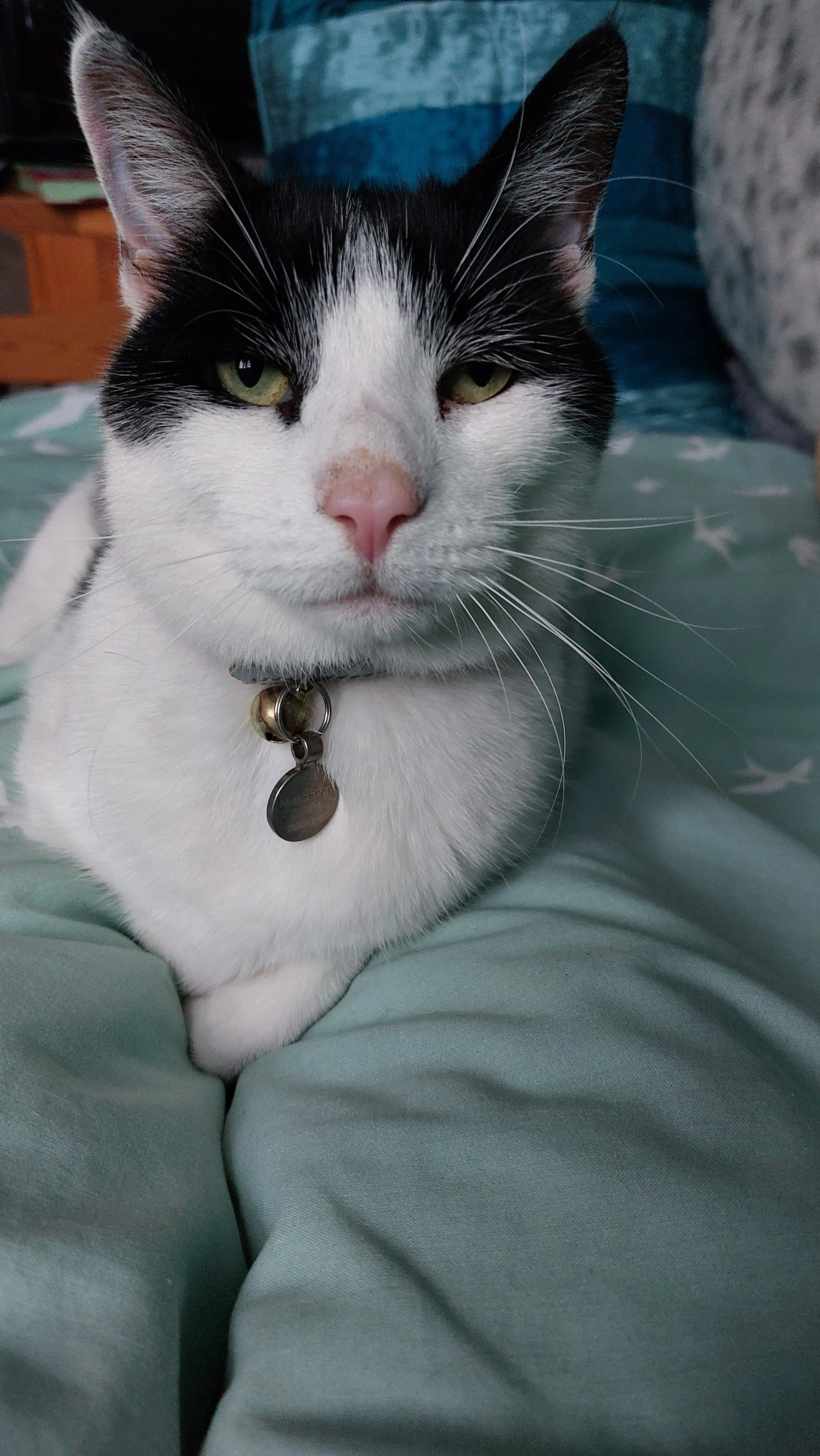 Rosies.Reading.Paradise profile pic