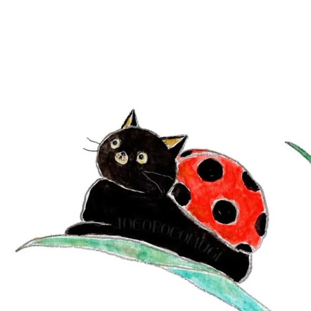 Jeni Liso profile pic