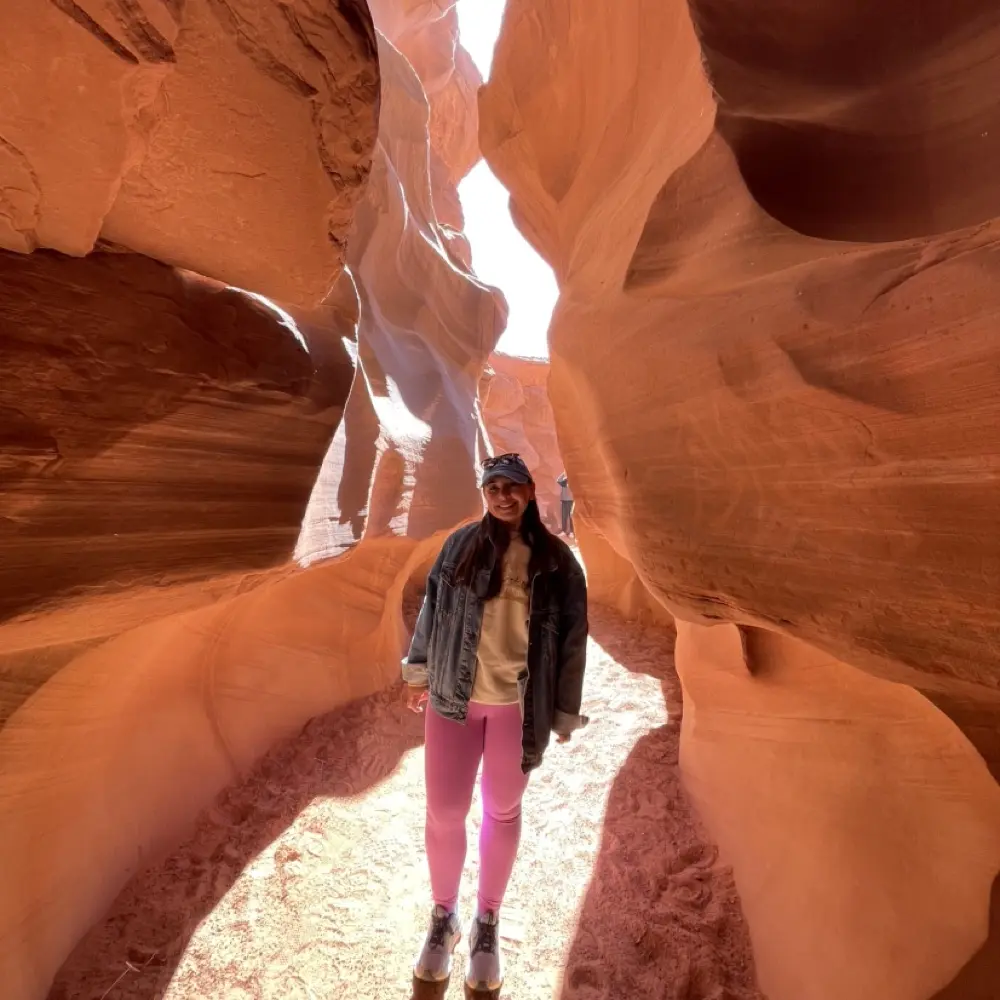 Lané Haimon profile pic