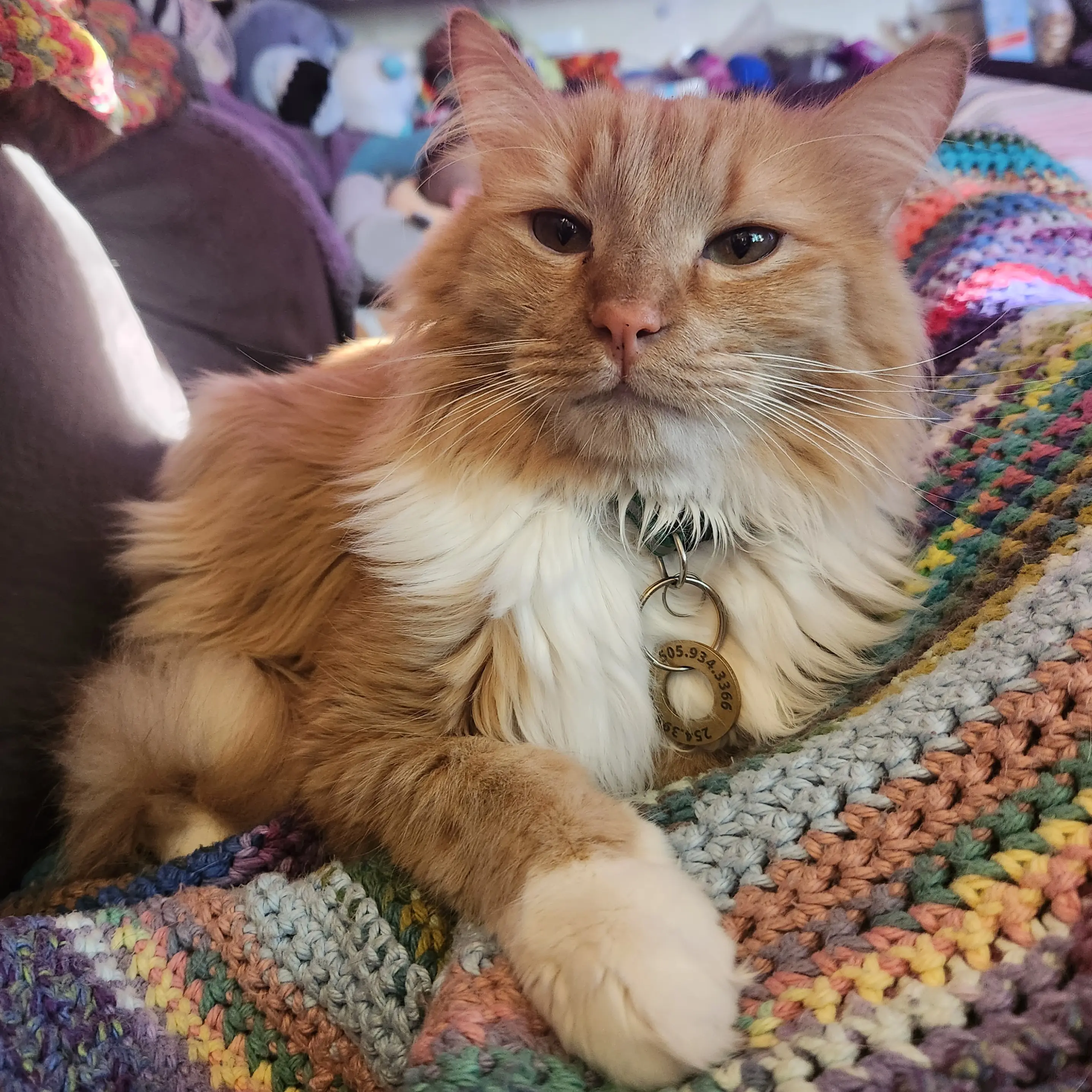 Jen Miller profile pic