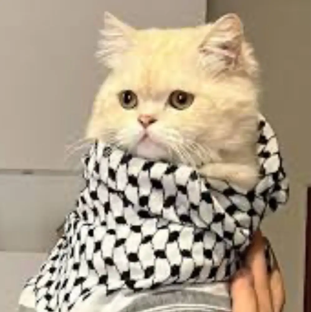 Matriarch 1992 profile pic