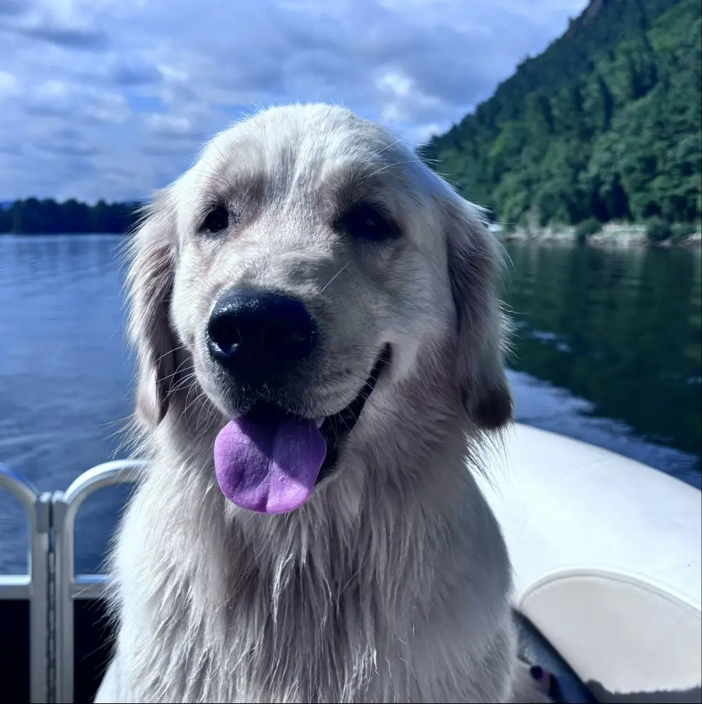 Carrie O’Hara avatar