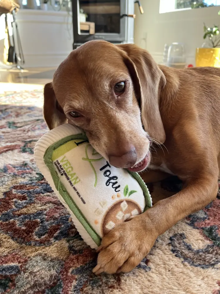 Laura ❤️ profile pic