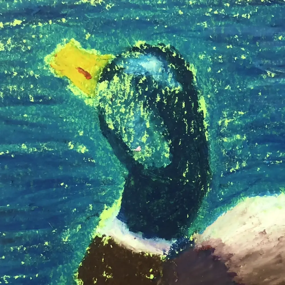 Shinykiwibird profile pic