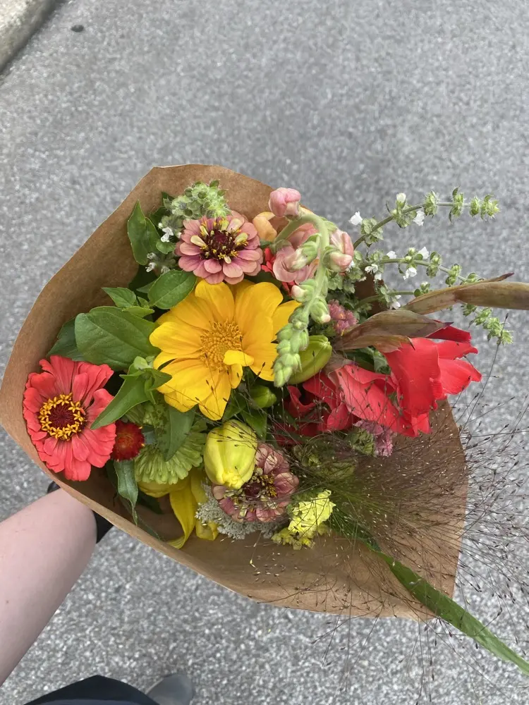 Laura Springman profile pic