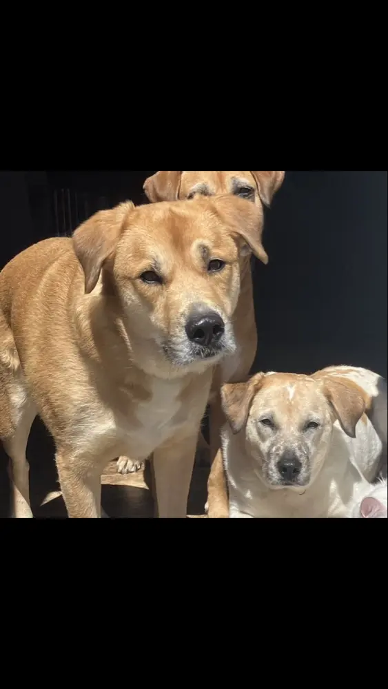 Bhammack97 profile pic