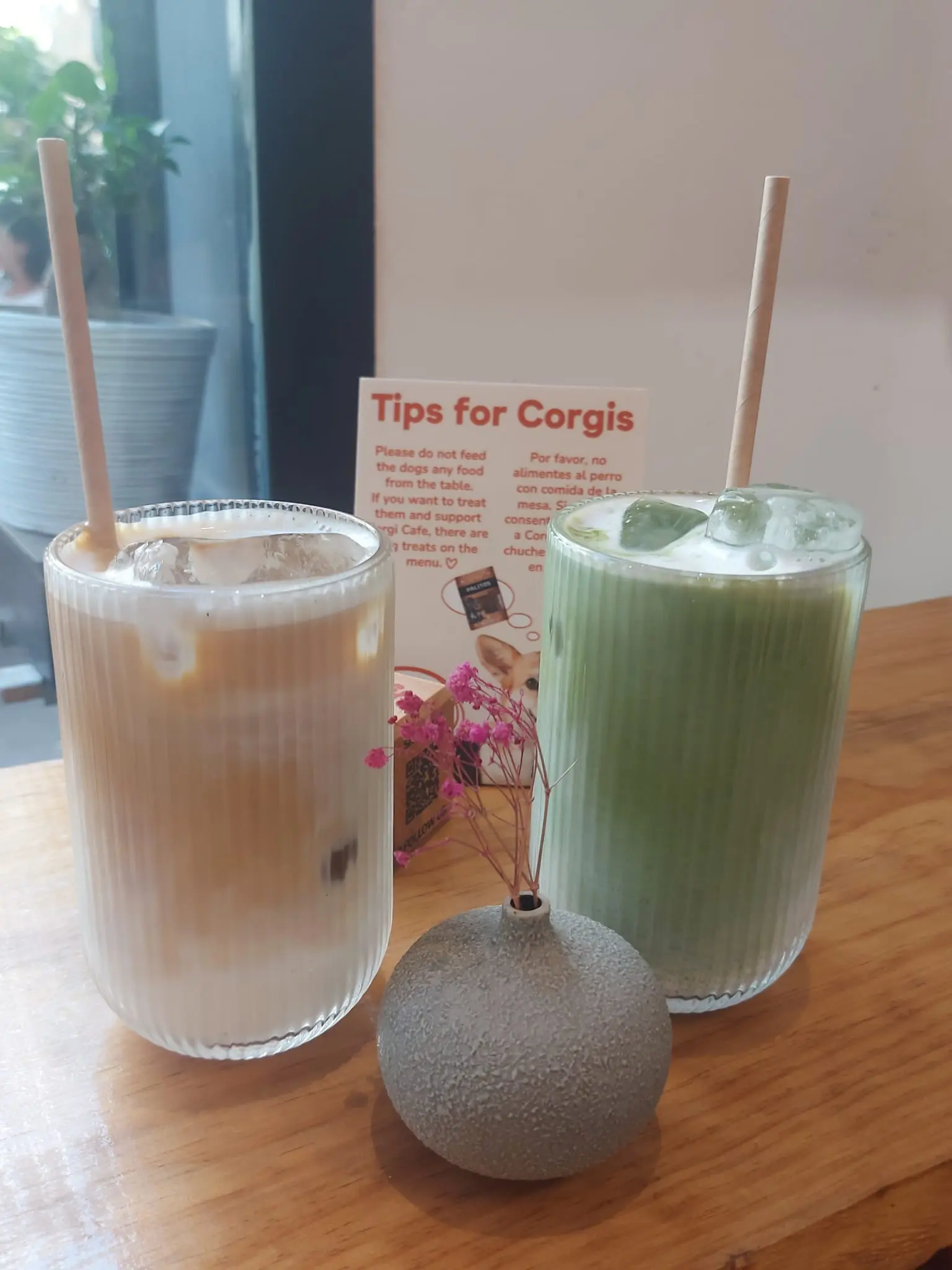 Gabryiela B profile pic