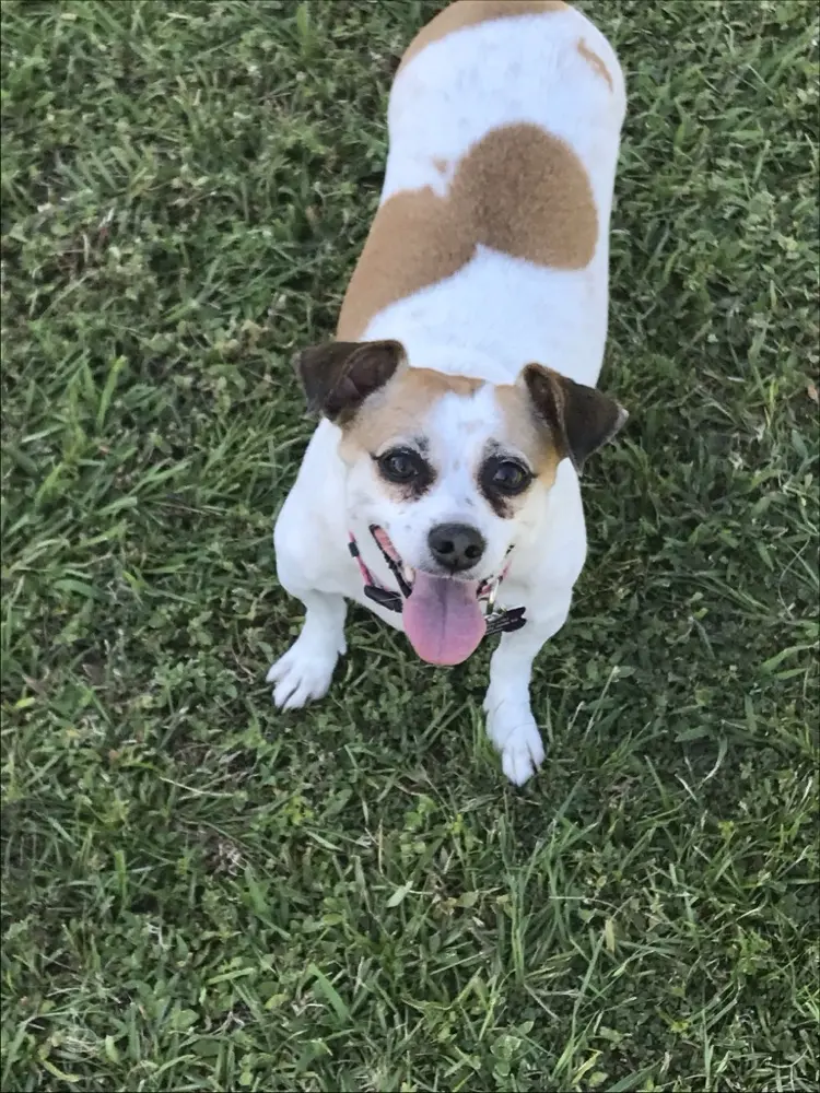 Shannon430 profile pic