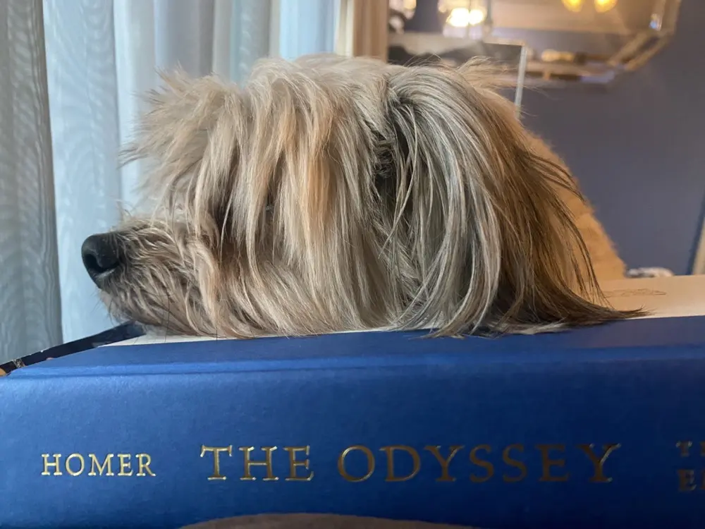 Joy Warnock profile pic