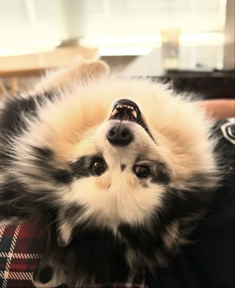 Michael Riethmiller avatar