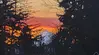 Barbara Casey Avatar
