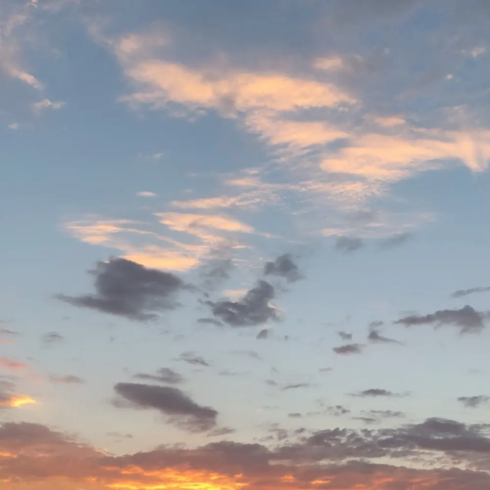 spacewhombus profile pic