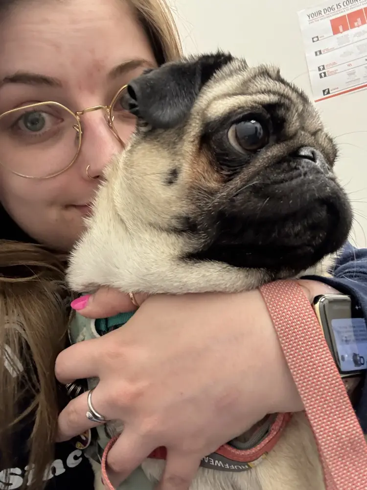 Sophie Kellett profile pic