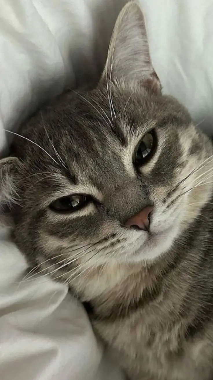 Ebbi_is_here profile pic