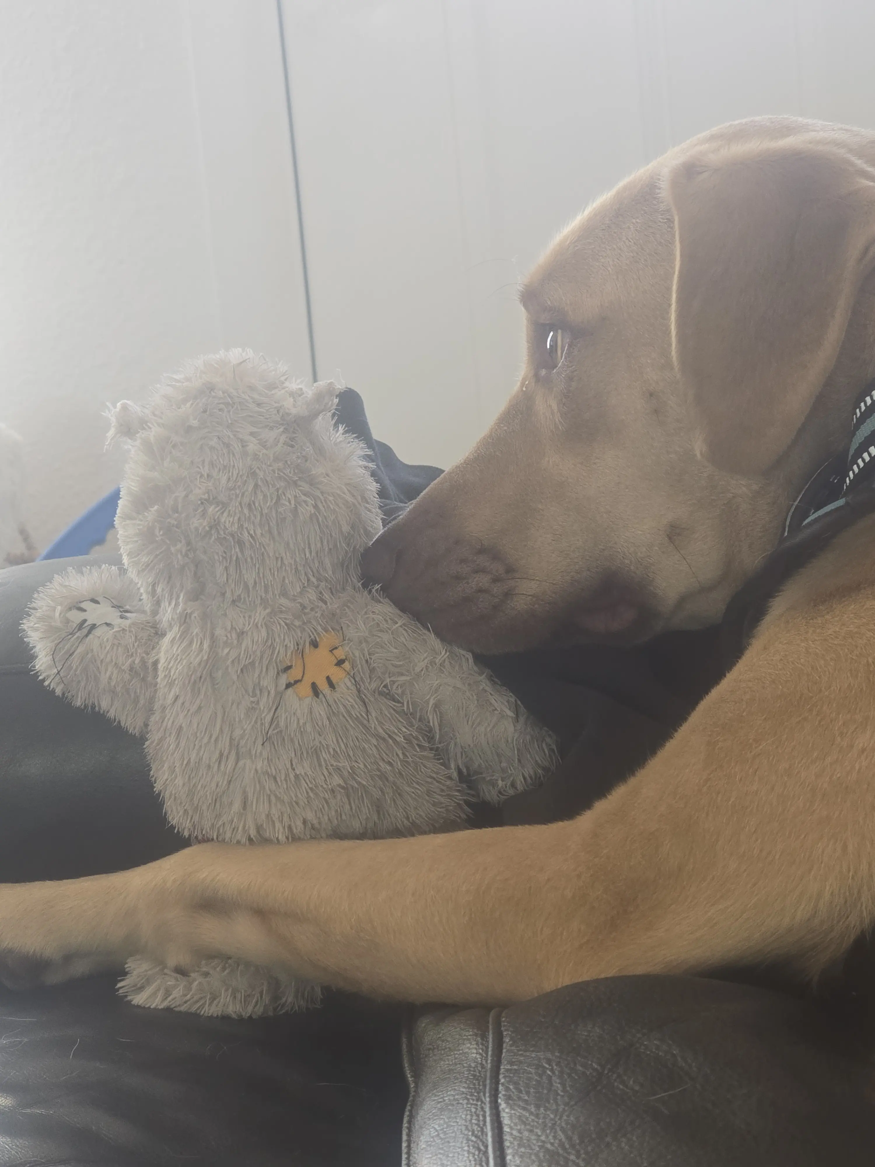 The Bean's Nook profile pic