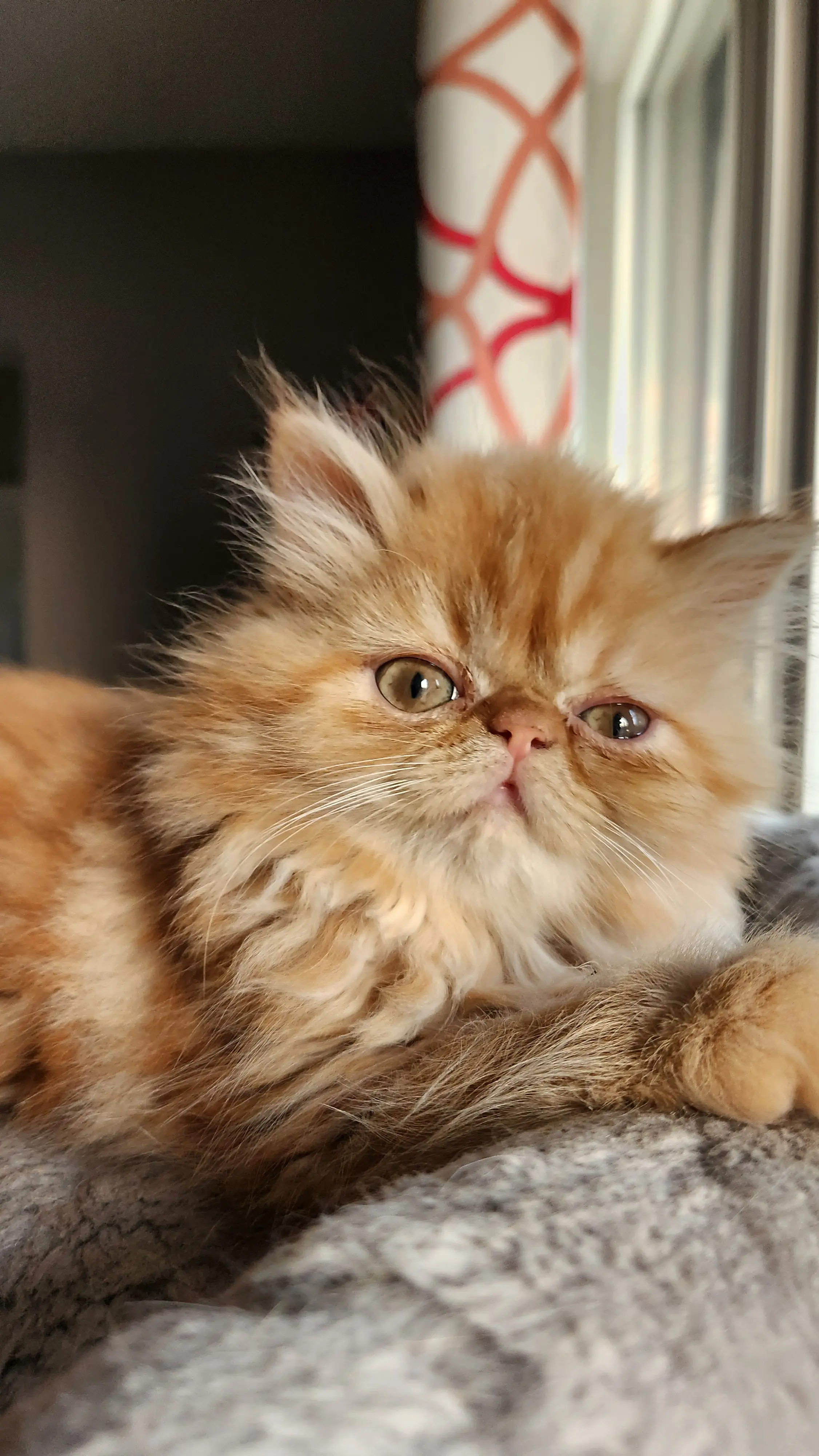 Nicole M profile pic