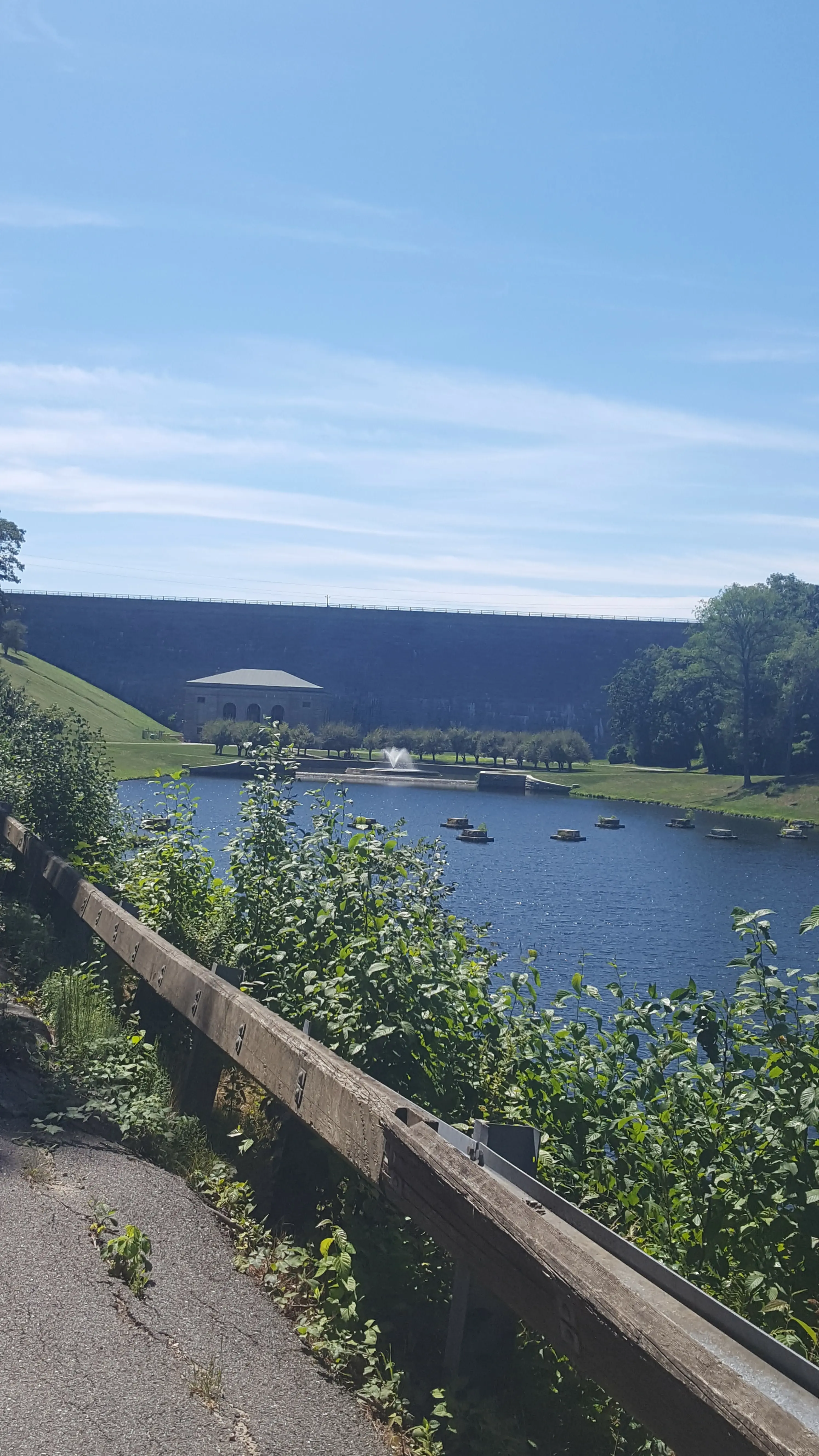 Books_n_Beis profile pic