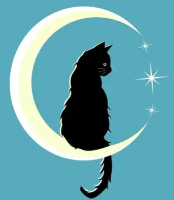 MoonCat avatar