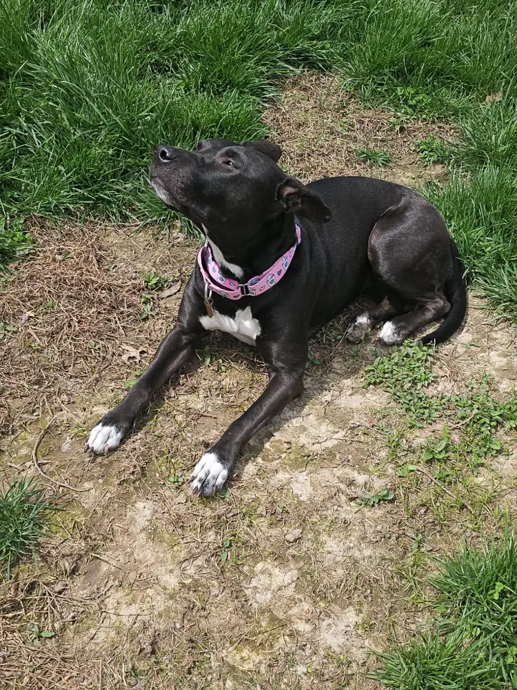 Camille Scurlock profile pic