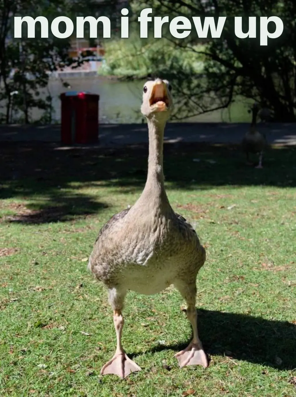 Blackpuddle profile pic