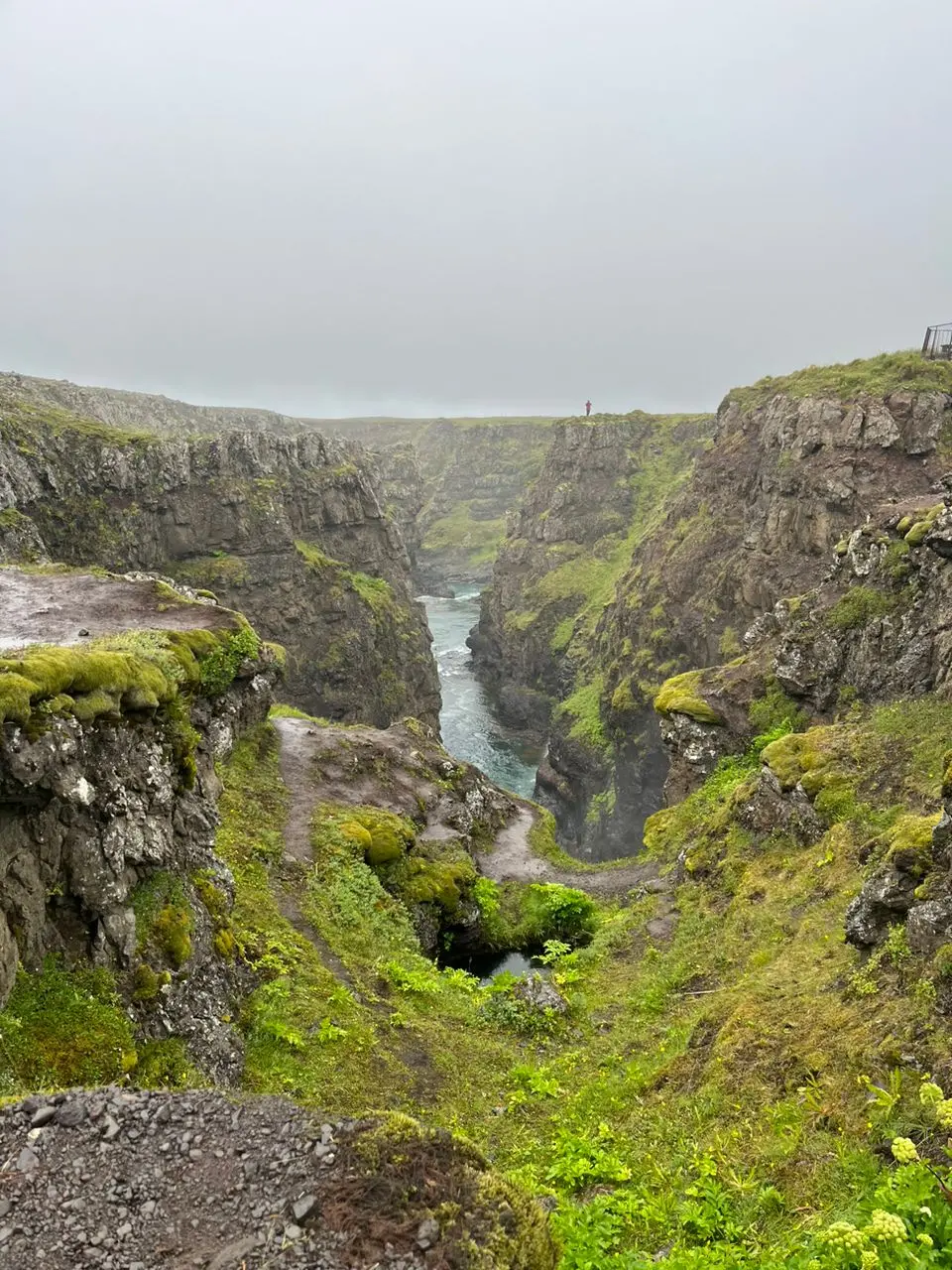 Aileen R. profile pic