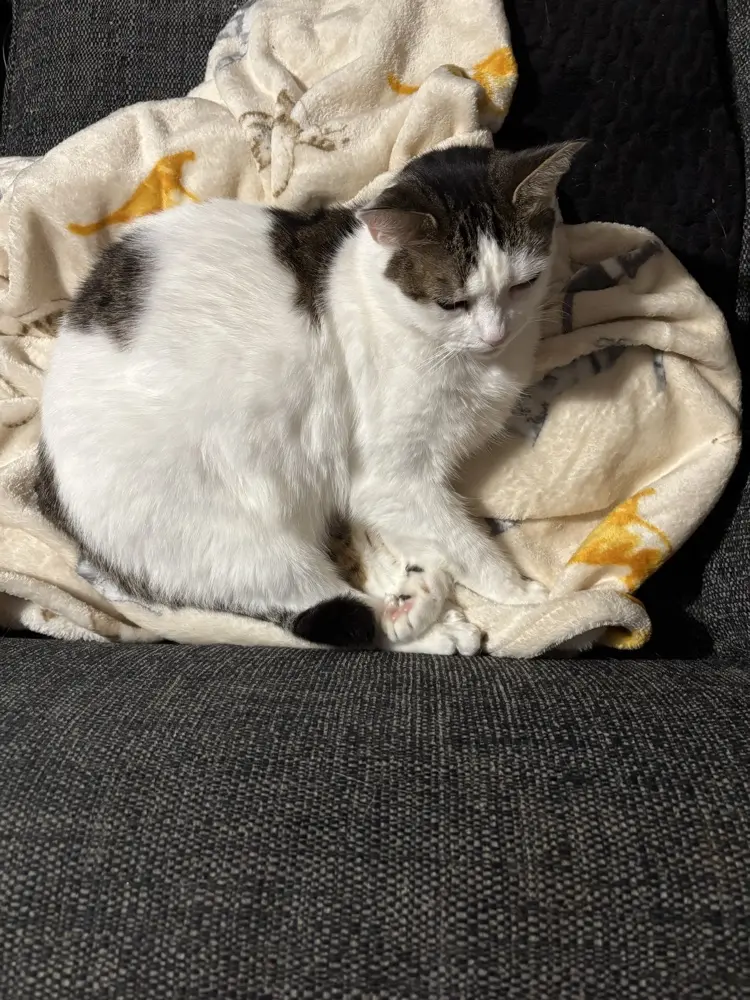 Alexandra profile pic