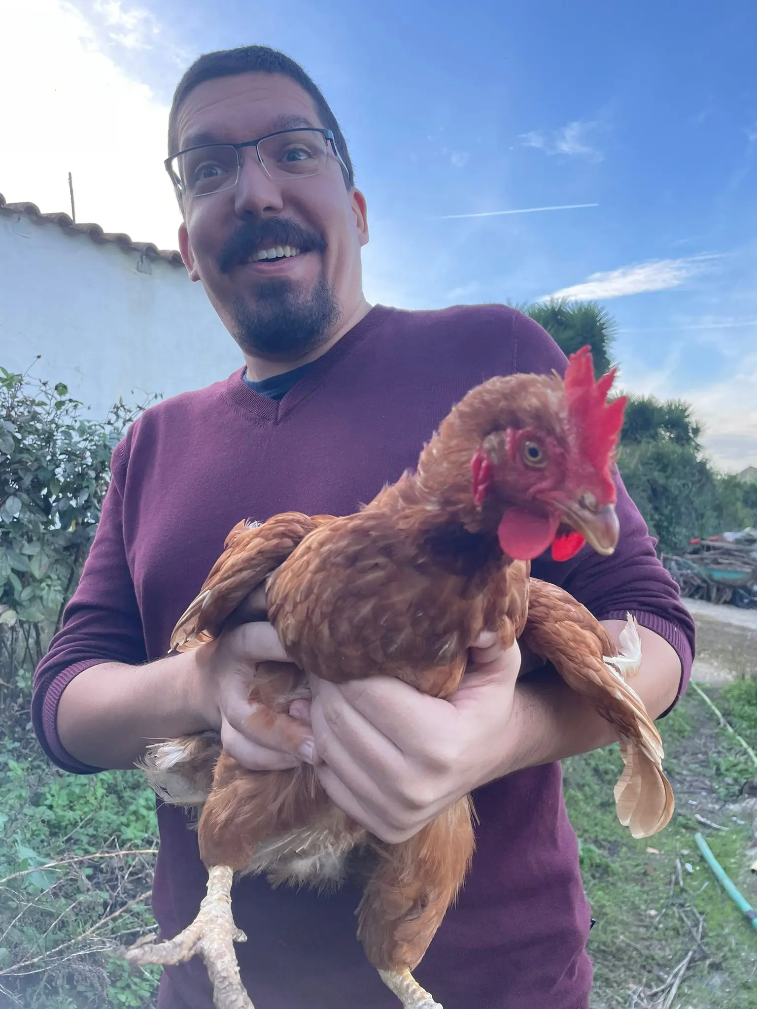 João Camacho profile pic