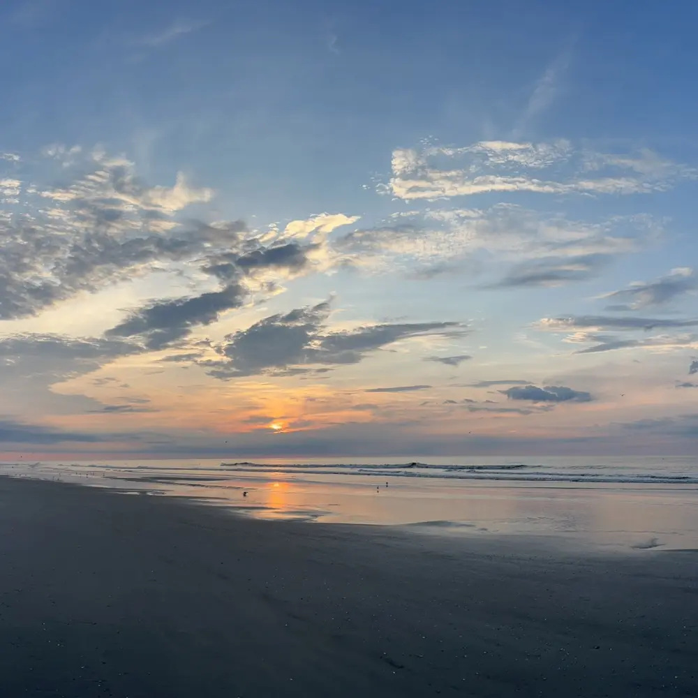 Adrienne Delaney profile pic