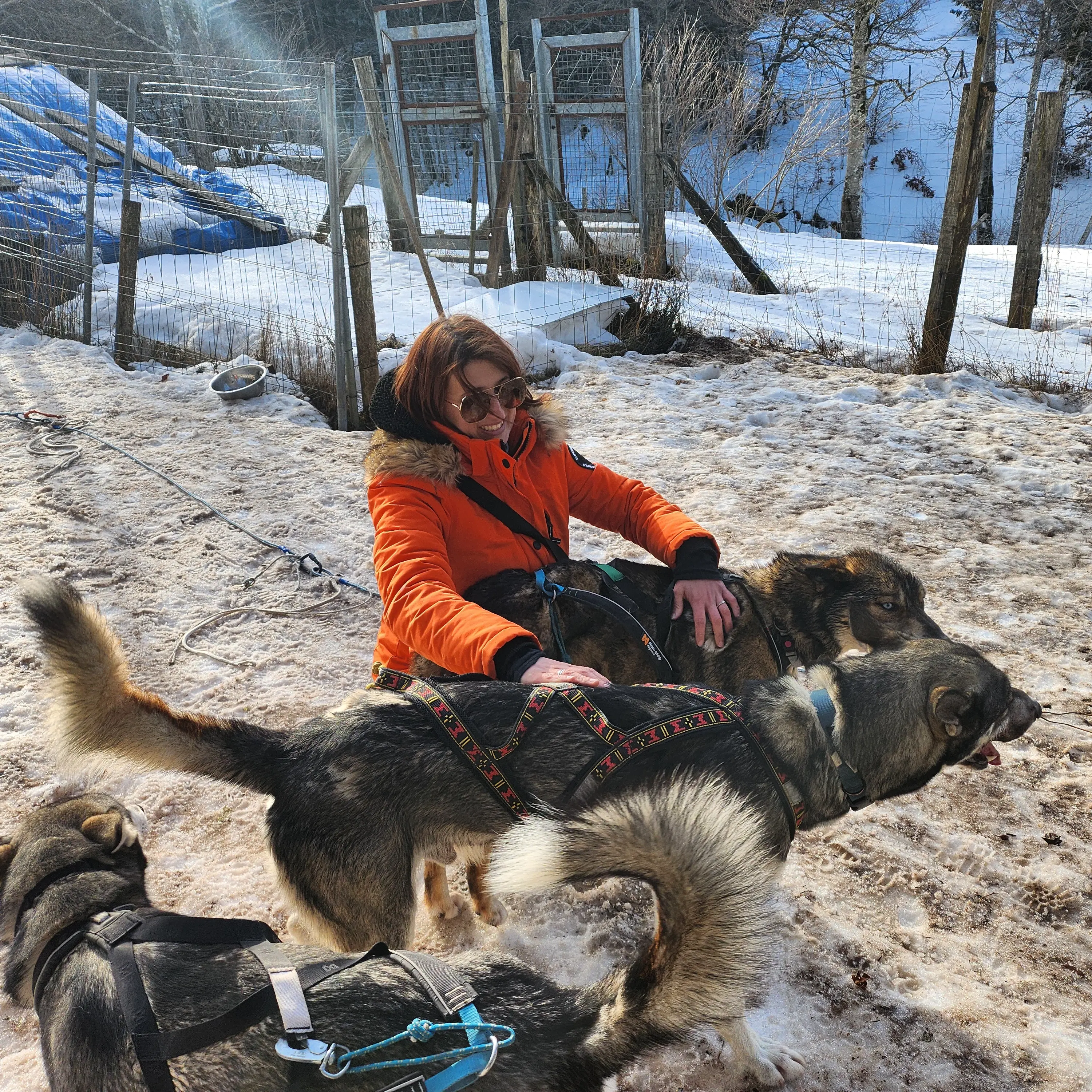 Maymay 🐈‍⬛ profile pic