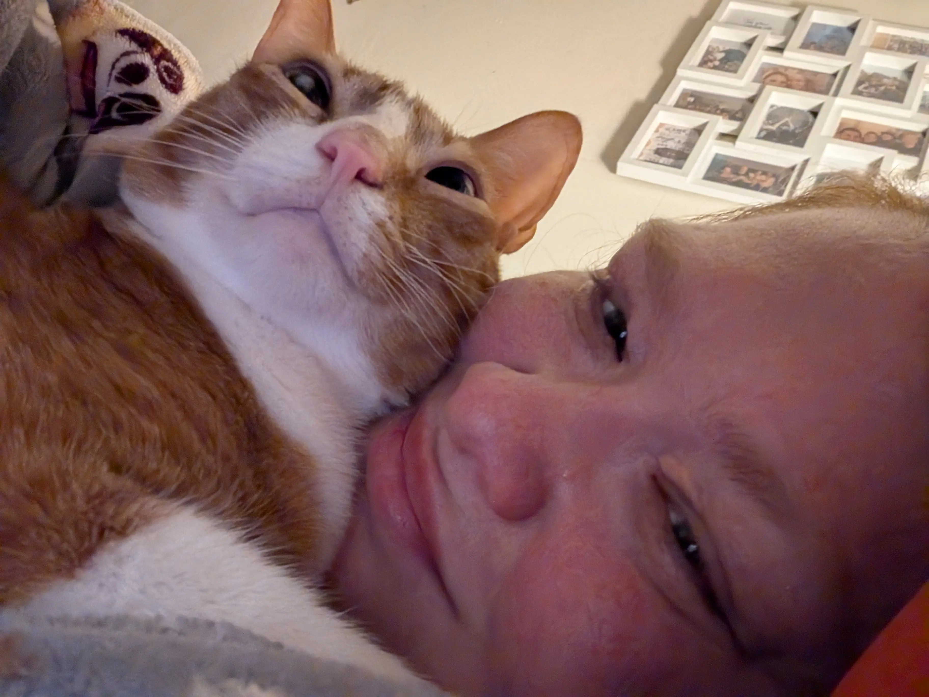 Claire Albrighton profile pic