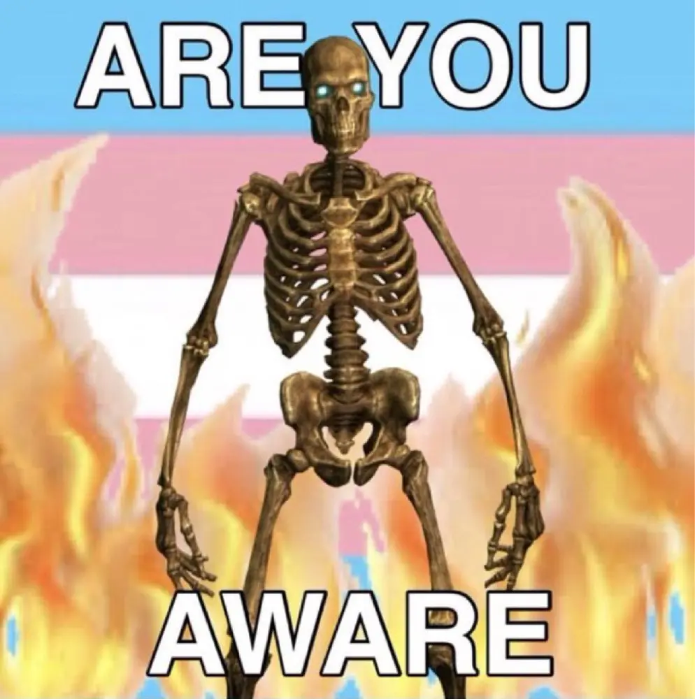 taiteishomo profile pic