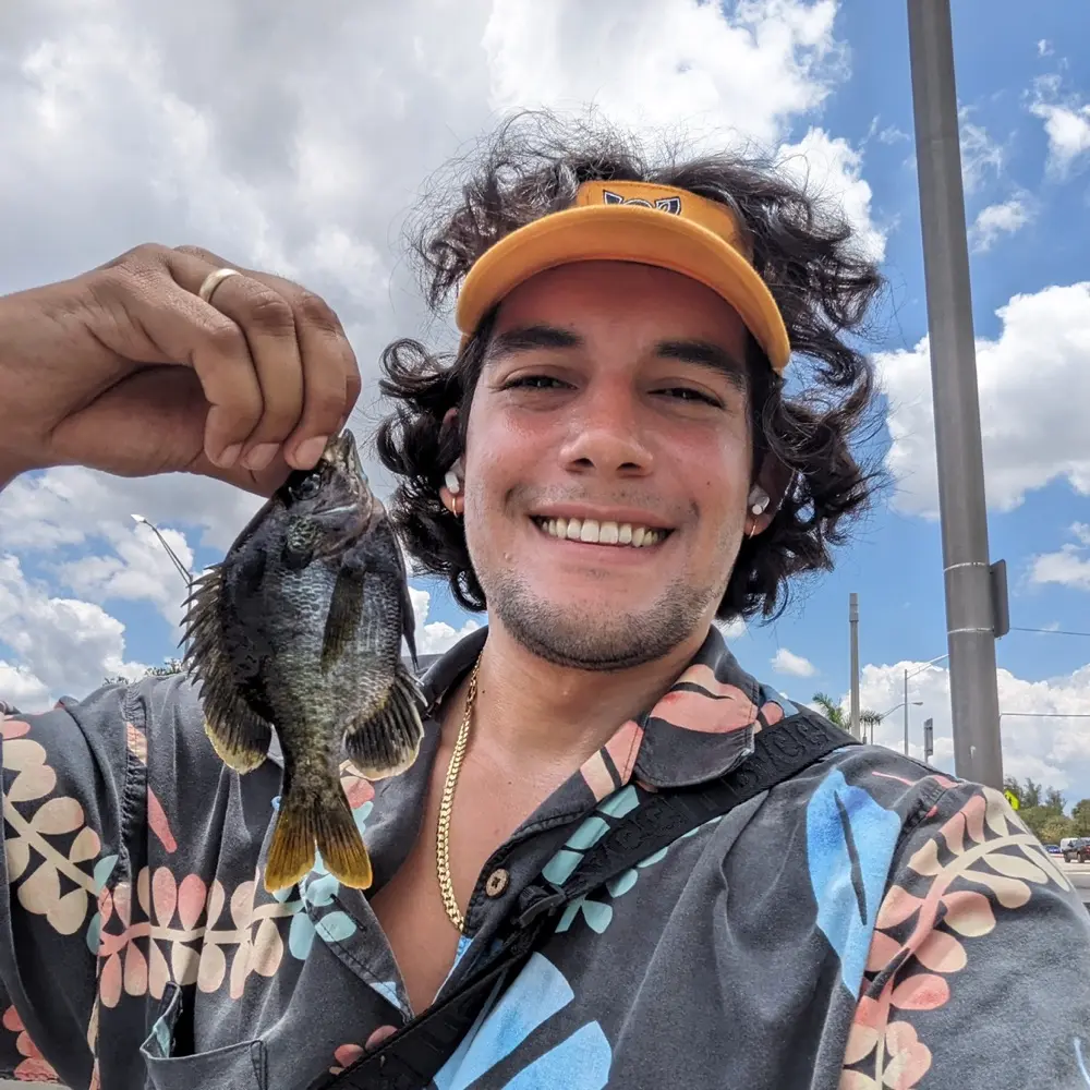 Luke Estrada profile pic