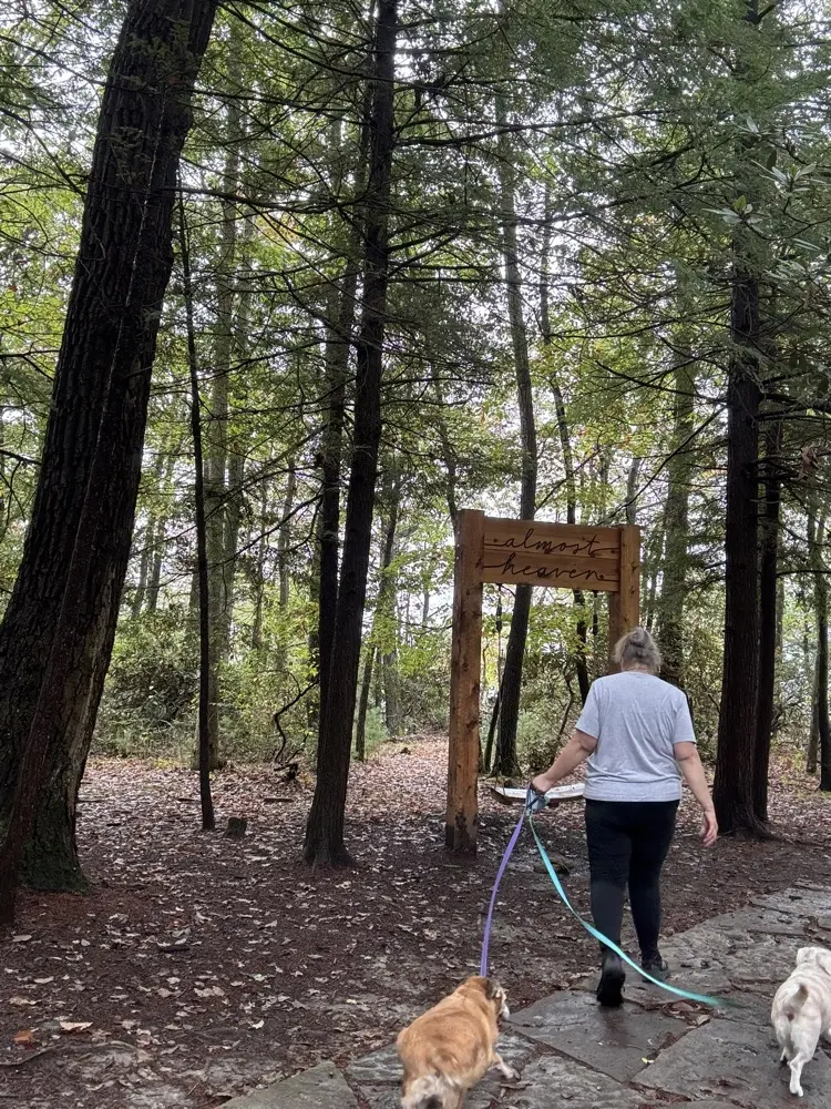 Mary Campbell profile pic