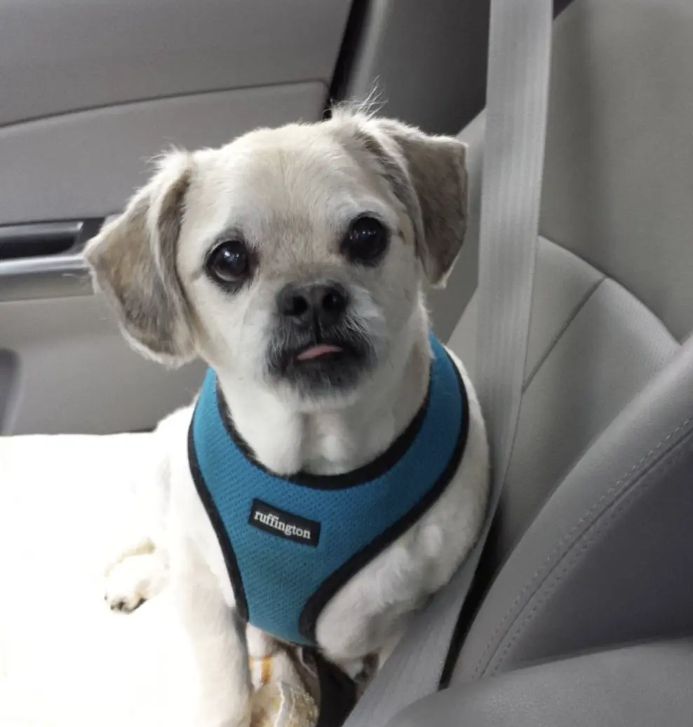 Vanessa B profile pic