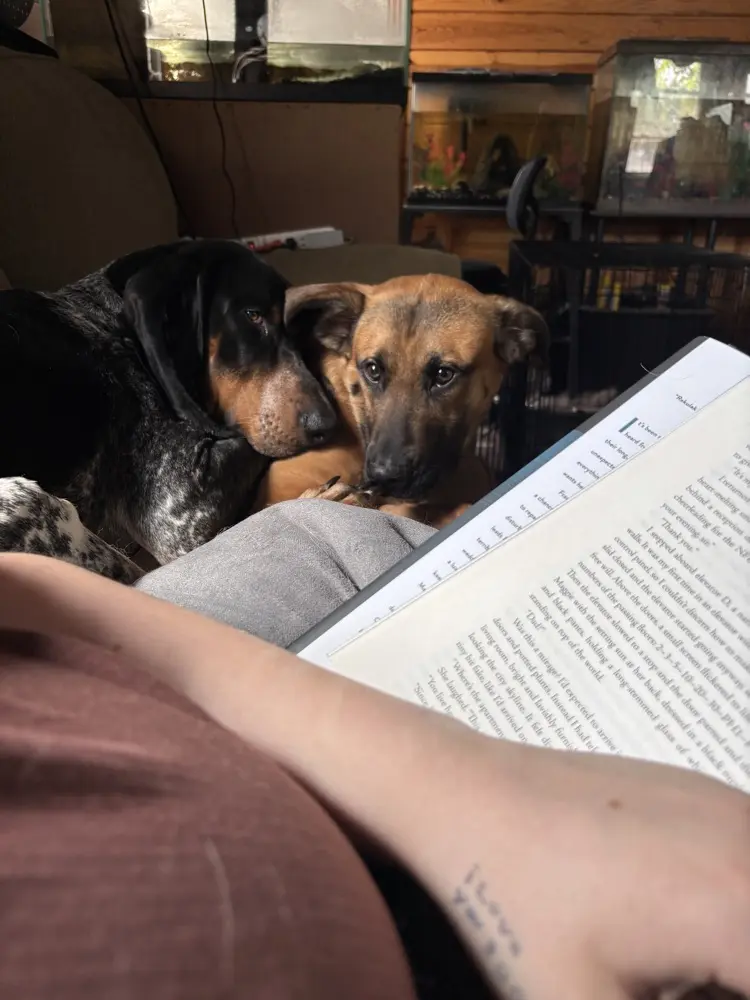 Thelamejc profile pic