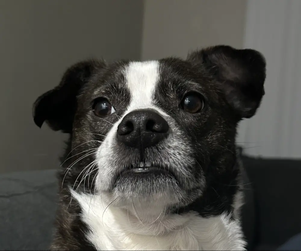 JNKJeremy profile pic