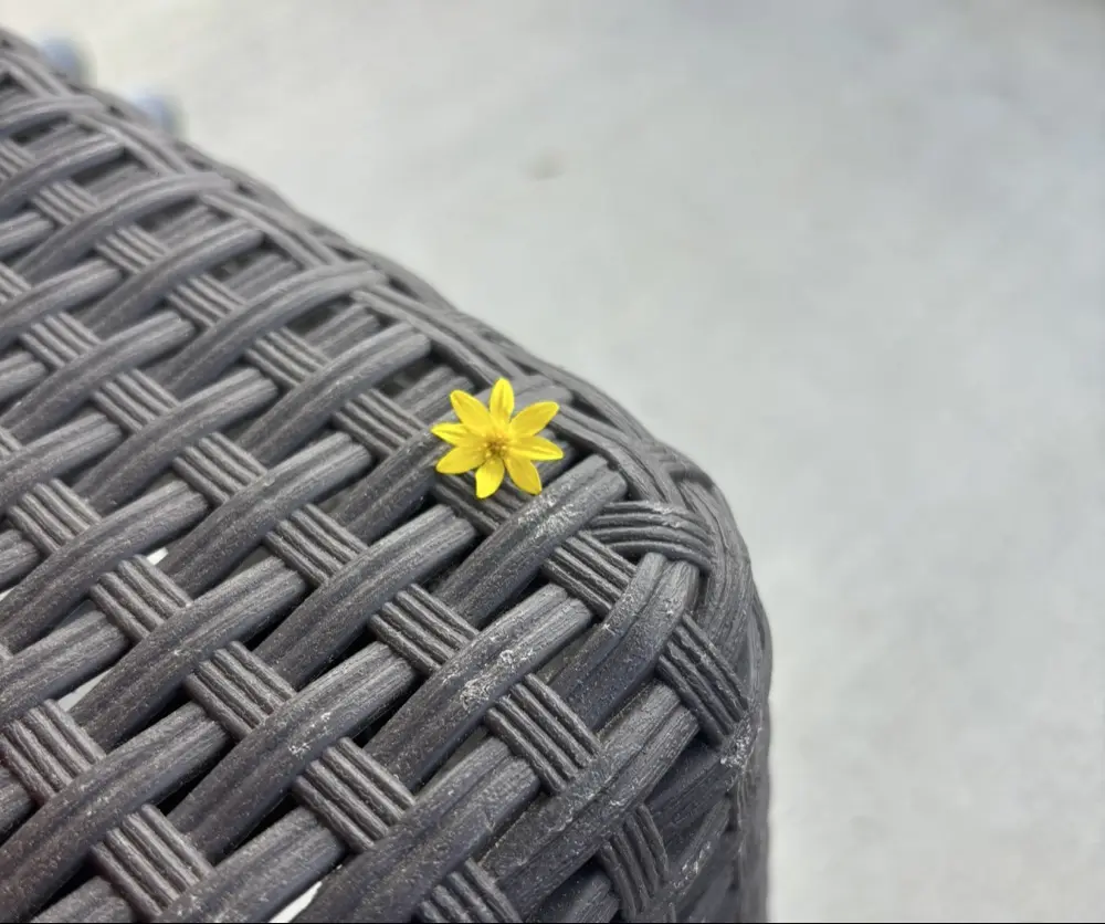 SarahNuss profile pic